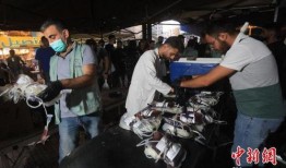 长垣老兵爆料事件视频播放,还原历史真相