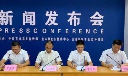 丰县最新爆料新闻头条网,揭秘事件背后真相